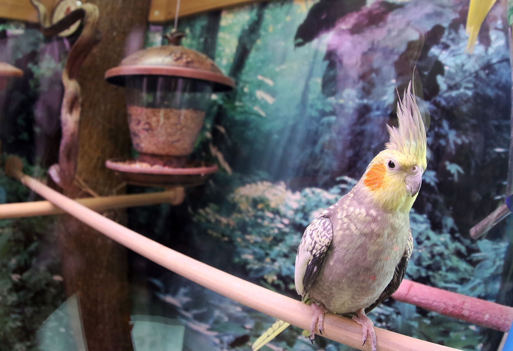060518-qct-animal-sanctuary-010